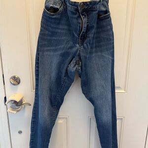 Kut from the Kloth Light Blue Denim Jeans 18